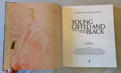 Young Gifted And Black: A New Generation Of Artists - Antwon Sargent, Lumpkin HC - 第 9/17 張圖片