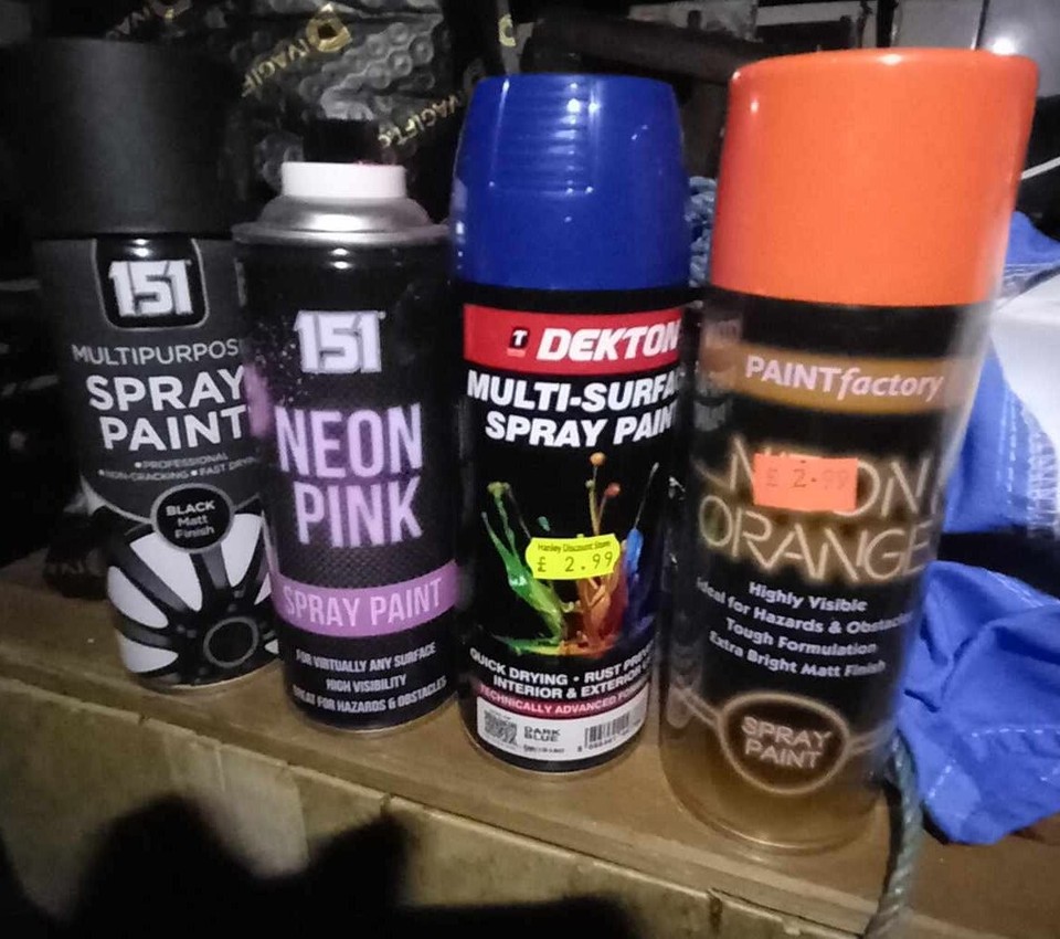 spray paint eBay