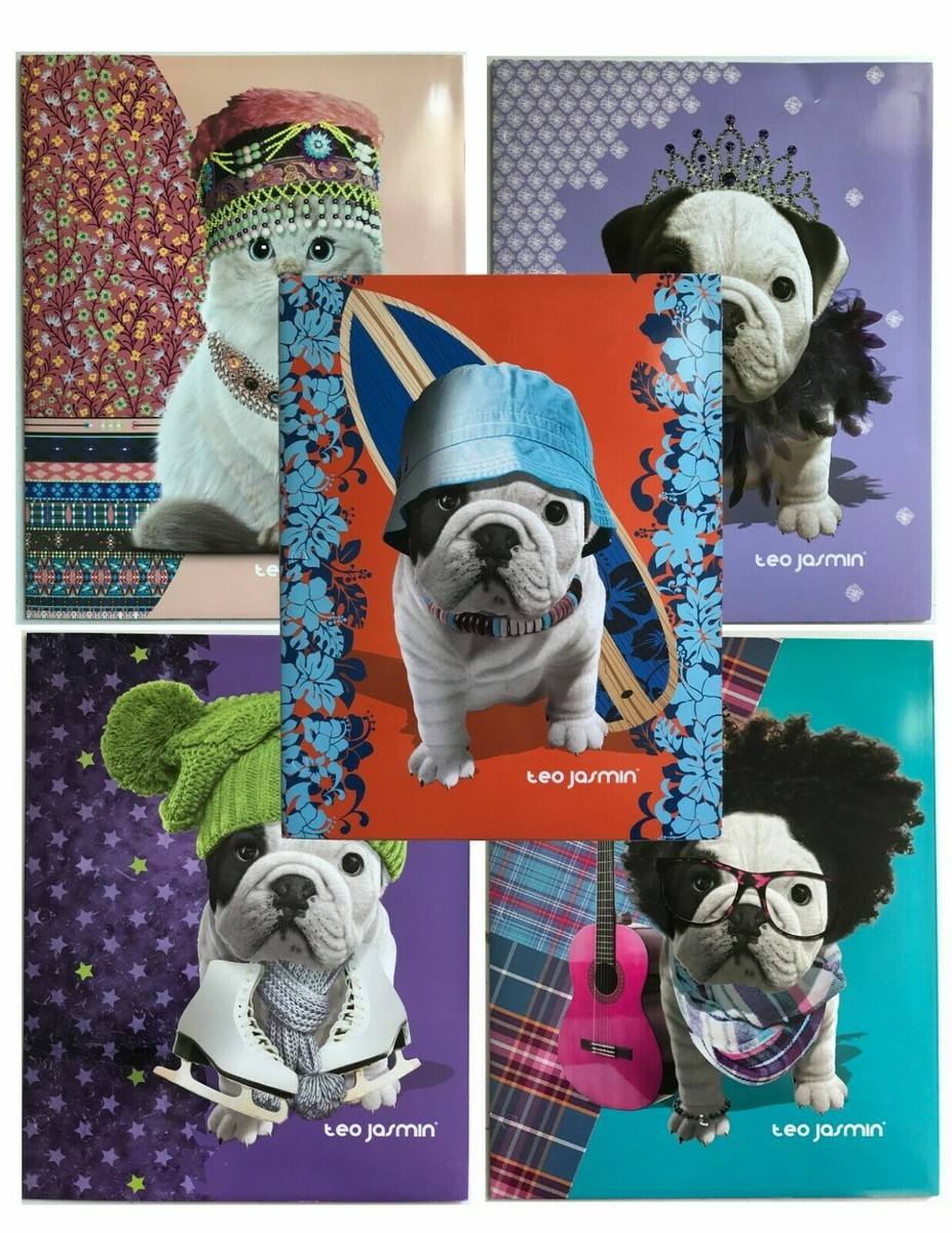 Teo Jasmin Portfolio Pocket Folder School Cat Guitar Musician Princess  French