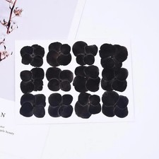 12PCS real dried Pressed Hydrangea Flower, Dyed Black color Flower FCD68