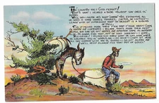 Linen Western Postcard ~ No. 1304.  THE COUNTRY THAT GOD FORGOT ~ Prospector