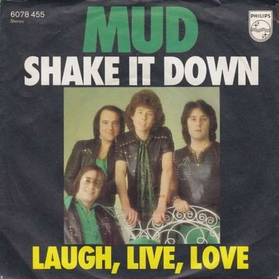 Mud - Shake It Down 7'' Single Vinyl Rock Pop Rock,Glam 51786