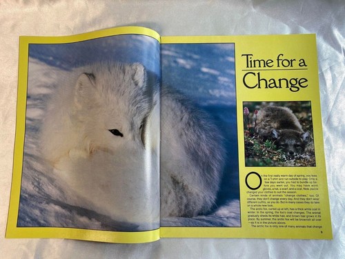 National Geographic World Magazine (For Kids) 1986 Vintage Back Issues - Picture 18 of 46