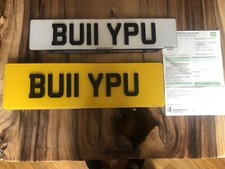 English Bulldogs Puppy Pup Xl