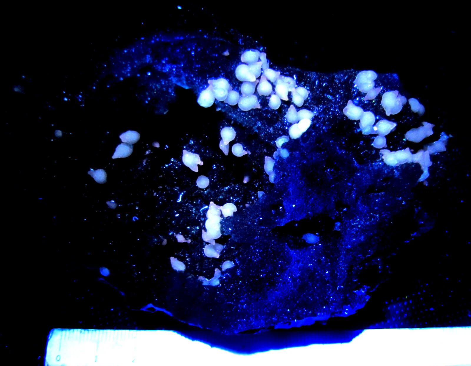 Foto 1 di 4