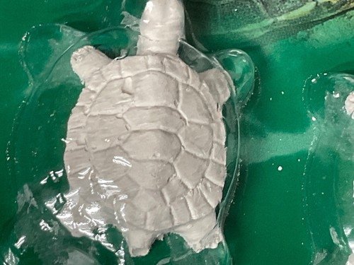 3 Pack TetraFauna ReptoGuard Turtle Health Conditioner 3 Count Slow-Release - Picture 3 of 4