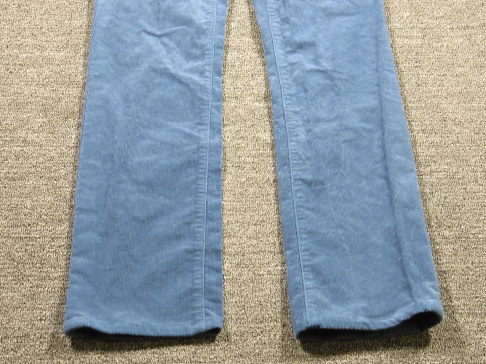 Pantalones de Pana Patagonia Para Hombres 28 Azul Regular Algodón Orgánico 5 Bolsillos Pierna Recta Foto 3 de 4