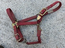 USED - Red Showman Average Horse Size 800-1100ibs Halter