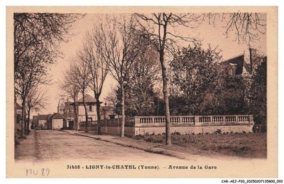 CAR-AEJP20-1121-89 - LYGNY-LE-CHATEL - Avenue de la Gare