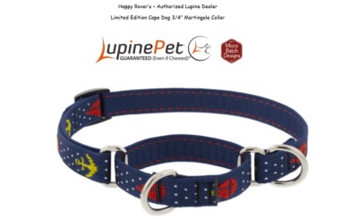 Lupine Combo Martingale LIMITED Dog Training Collar - 3/4'' - Anchors - CAPE DOG