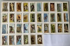 WILD LIFE IN DANGER - BROOKE BOND TEA CARDS - SELECT A CARD