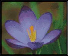 Purple Crocus Flower Counted Cross Stitch Chart #14-117 