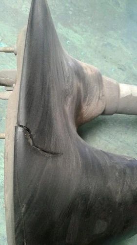 Passenger Side View Mirror Power Dual Arms Fits 02-05 EXCURSION 112365