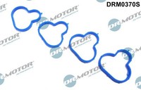 Dr.Motor Automotive Dichtungssatz, AnsaugkrüMmer DRM0370S FüR Ford