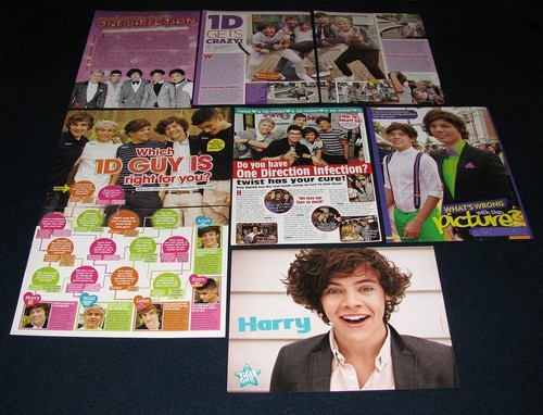 Lote de 24 pinups de página completa One Direction Harry Niall Liam Zayn Louise B-865 - Imagen 2 de 3