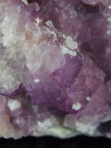 Purple Fluorite Crystals on White Quartz Matrix, Arizona. 8 x 8 cm. - Picture 3 of 9