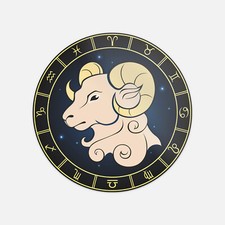Capricorn Sign Of The Zodiac Vinyl Sticker Decal