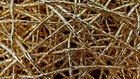 Gold Foil Woven Mesh Placemats Set of 6 Saro Lifestyle Galerie 15x15 — photo 3