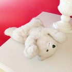 Bild 4 von 5