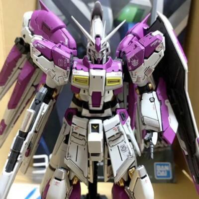 RG Hi-V Gundam Highver.Ka Purple Gunpla Bandai Built & Painted