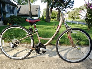 specialized crossroads sport step through