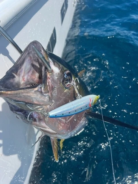 Sardina Púrpura 5 3/4 Stickbait Flotante - Atún, GT, DORADO KING PEZ COLA AMARILLA Foto 3 de 4