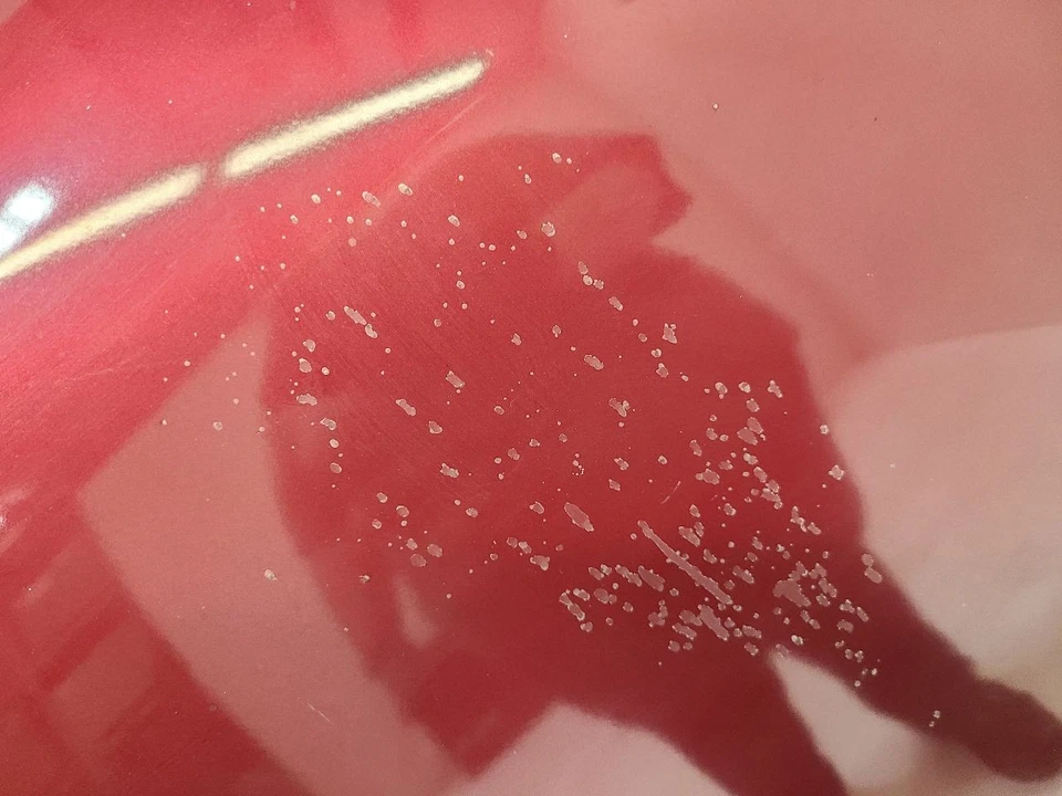 1999 - 2007 GMC SIERRA 1500 PICKUP Hood Classic Style Creased Door Skin RED - Изображение 2 из 4