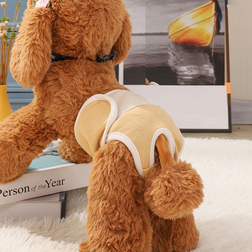 Hygiene pants clearance for female dogs