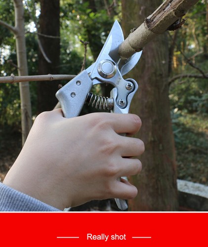 8" Pruning Shears Professional Bypass Garden Scissors Secateurs - Made in Japan - Picture 8 of 10