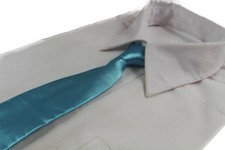 1 x Sky Blue Neck Tie Boys Kids Baby Toddler School Ties Formal Wedding