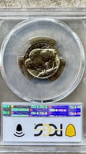 PCGS MS65+ Type 1 1913-P Buffalo Nickel