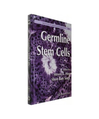 Germline Stem Cells