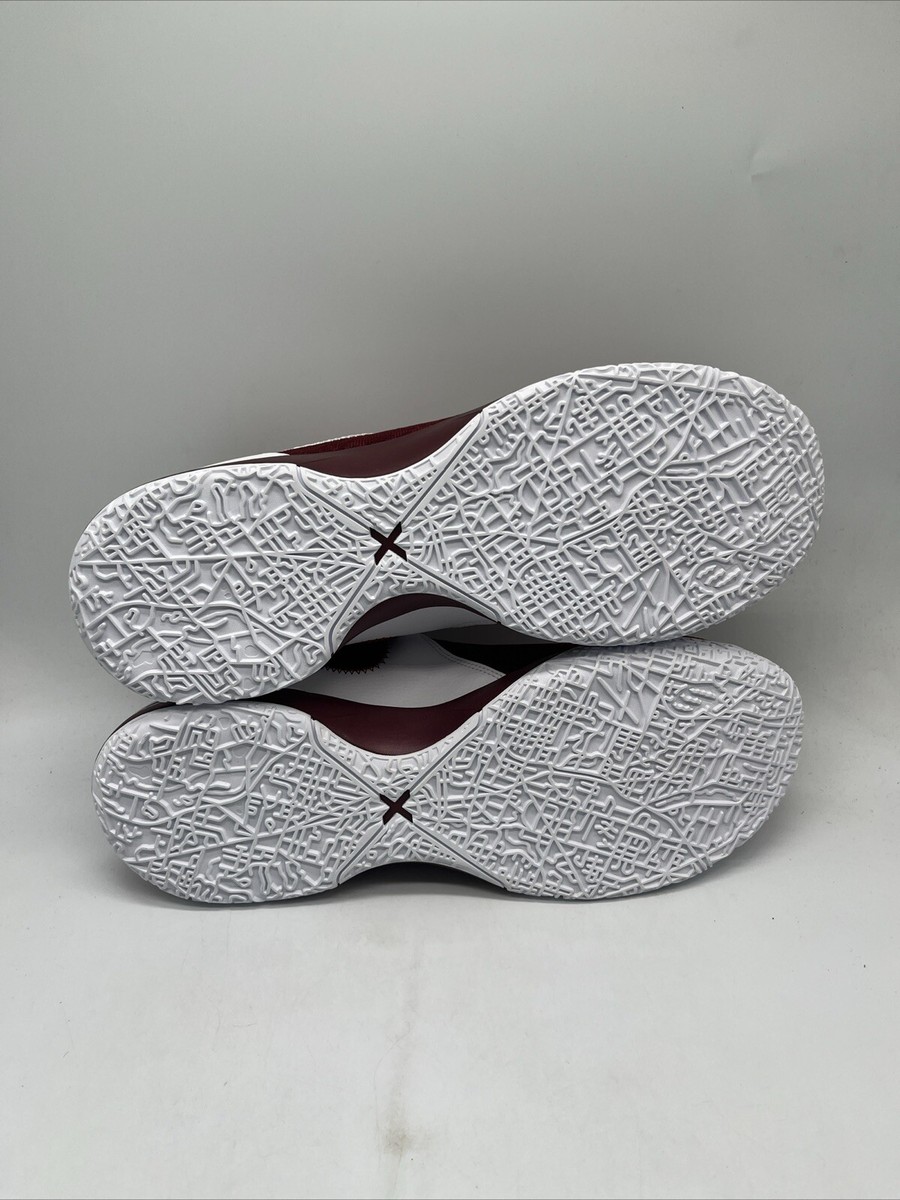 Nike Zoom LeBron NXXT Gen TB Promo Team Red/White FN7092-601 Men's