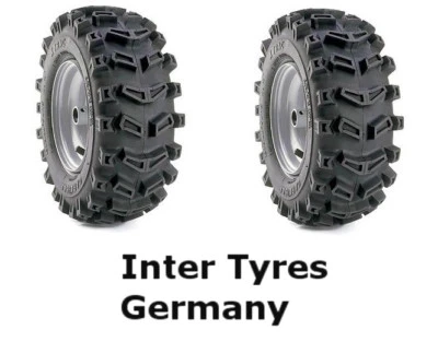 2x Pneumatici 16x6.50-8 P533 16x6.5-8 WANDA Pneumatici per Sgombraneve Rasaerba a Sedile