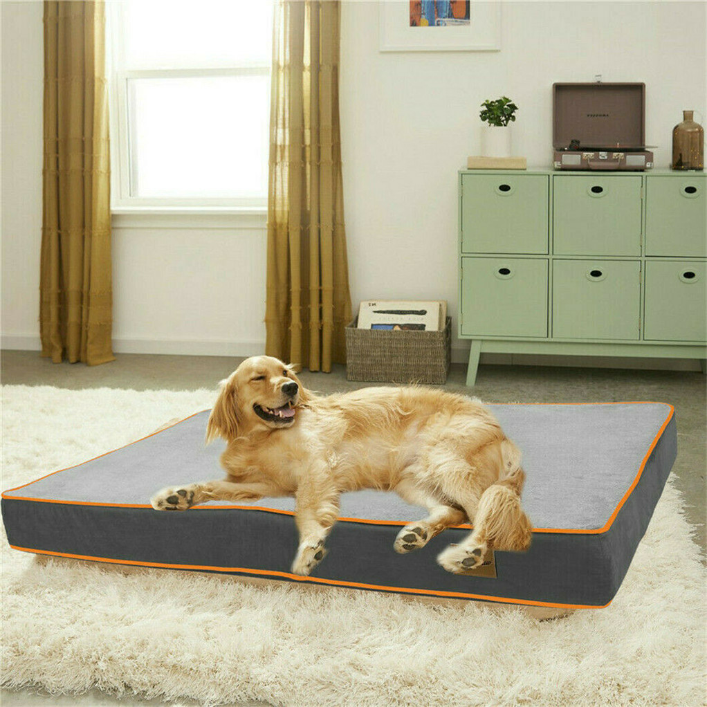 BingoPaw Padded Foam Dog Bed 10CM Thick Large Orthopedic Dog Pet Beds Waterproof eBay