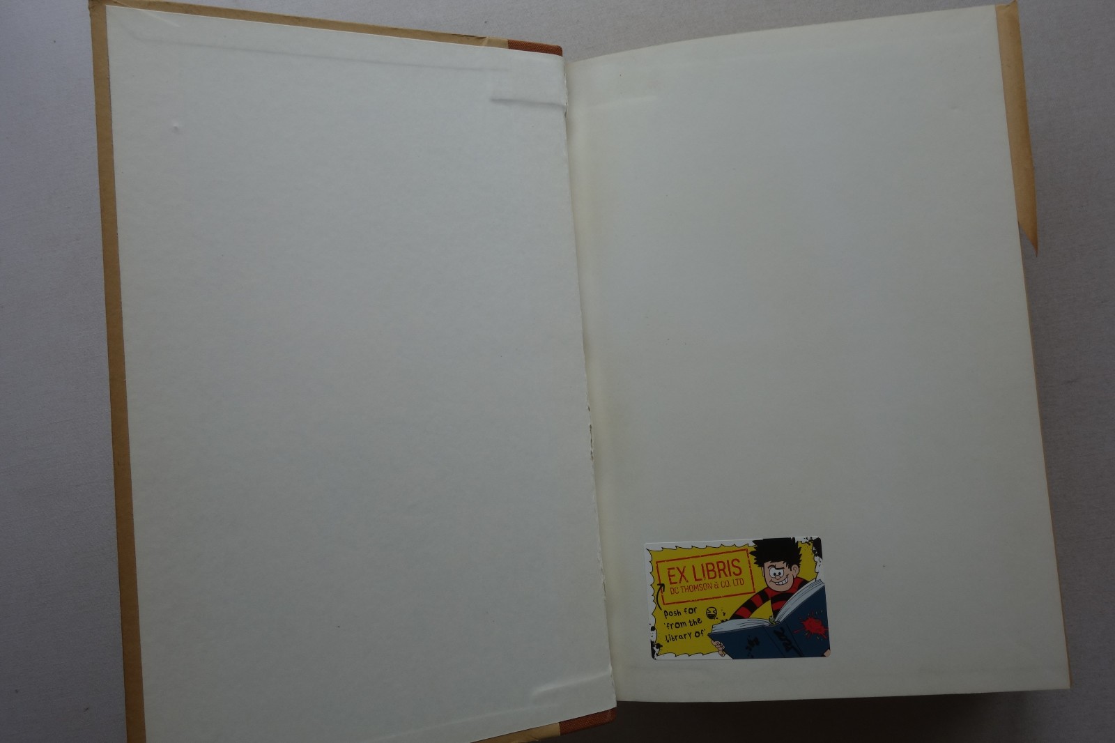 Bild 13 von 21