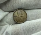 1909-P VDB Lincoln Wheat Cent 1c Xf Extra Fine V139