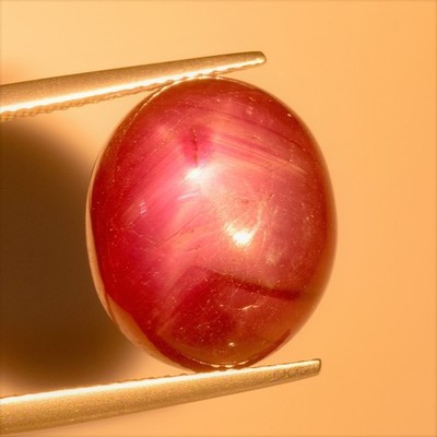 21.90 Cts 6 Rays Star Ruby Purplish Red Cabochon Natural Loose Gemstone Burma