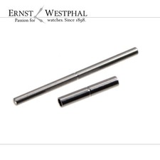 Original Oris Bandschraube, poliertem Stahl für TT1 24 mm Bandanstoß