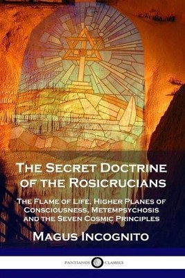 Magus Incognito William Walker At The Secret Doctrine of the Rosicr (Paperback)