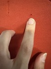 Bild 6 von 8