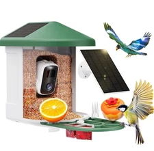Solar Bird Feeders with Camera Supports AI Identify Bird's Species 2K Live Video