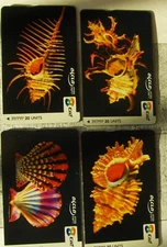 4 Prepaid Public Phone International Calling Cards with Ocean Shells, Israel