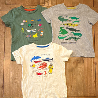 Mini Boden (3) T Shirts 5 6Y minibeasts alligator crocodile bugs sea creatures