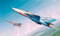 Trumpeter 752865 1/48 Mig 21UM Fighter