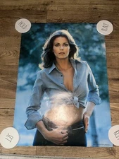 Vintage 1978 LYNDA CARTER Wonder Woman PIN UP POSTER  20x28 Pro Arts