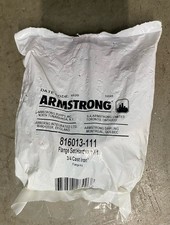 Armstrong Pumps 816013-111 3/4 in. Cast Iron Circulator Flange Red