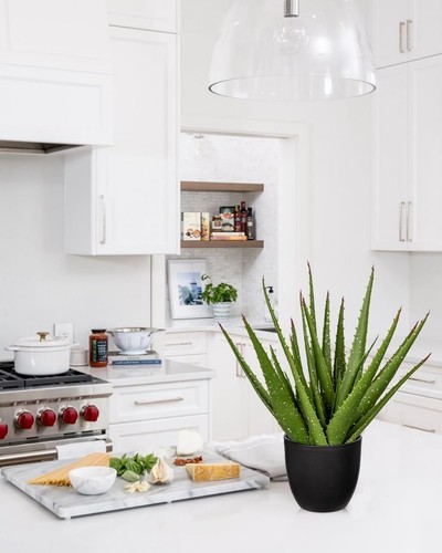 Fake Succulent Aloe Vera Plants 13.4 Inch Large Artificial Succulents with Bl... - Bild 6 von 6