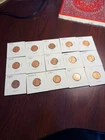 lot of 15 wheat pennis in carbord holders great collecton of penny