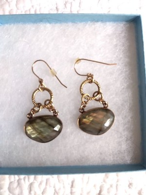 Sennod Labradorite and 14k Plated Earrings